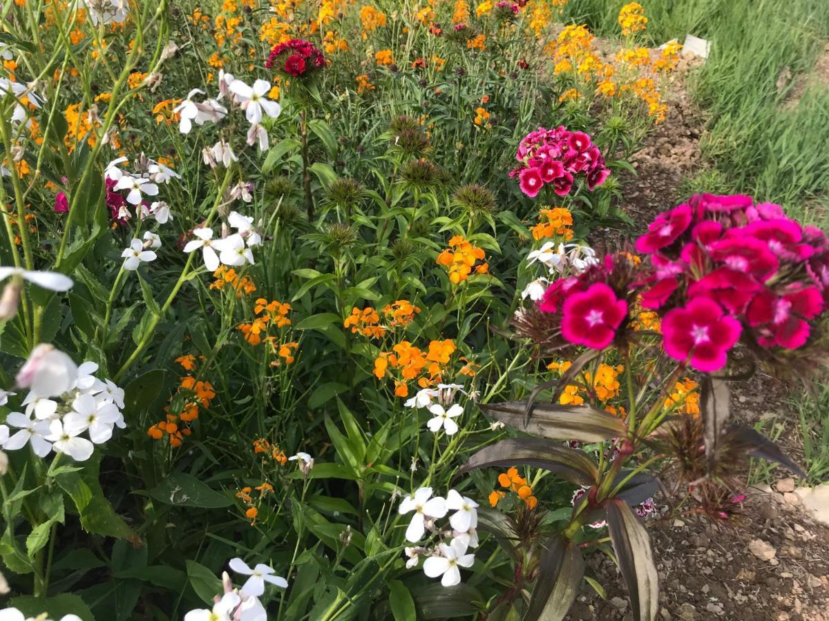 フランコルシャン "Un Matin Au Jardin" Bed & Breakfast エクステリア 写真