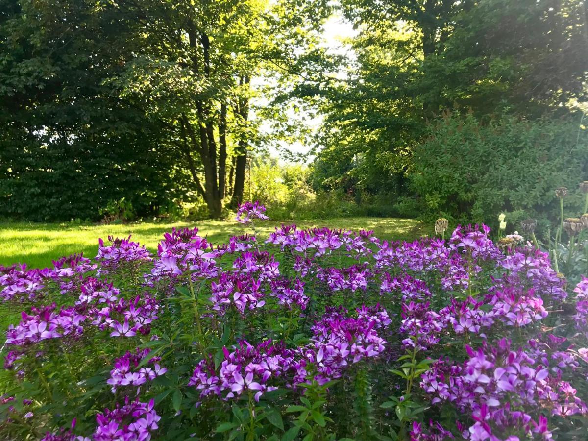 フランコルシャン "Un Matin Au Jardin" Bed & Breakfast エクステリア 写真